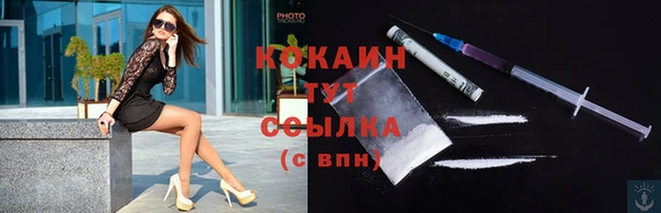 дмт Пестово