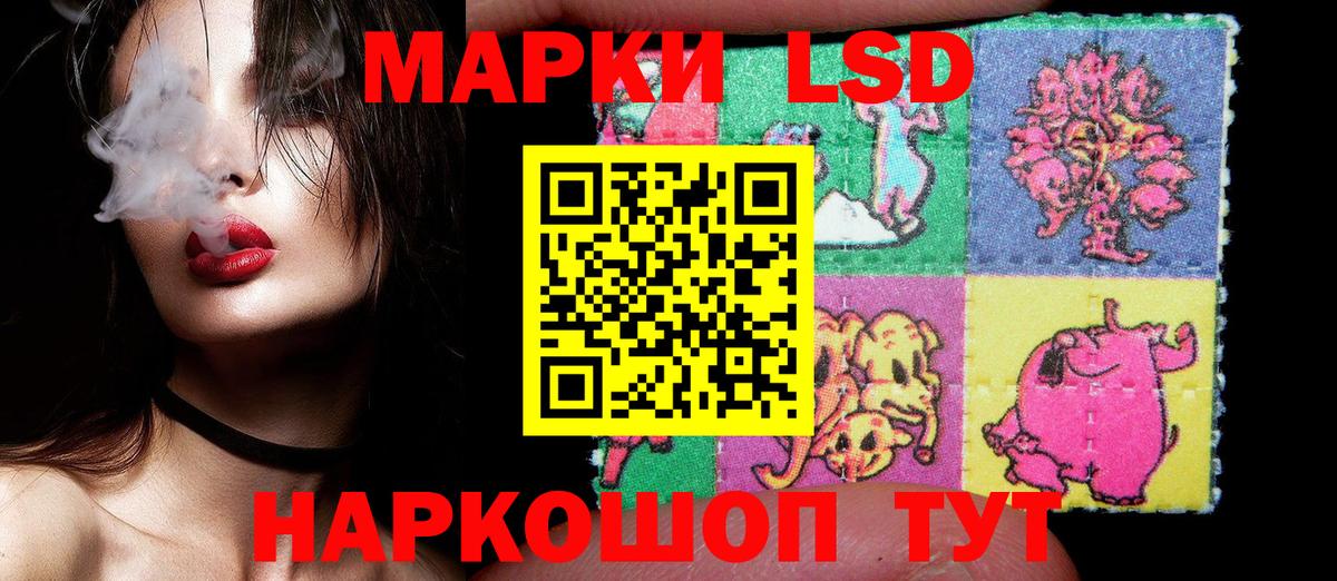 купить наркотик  Вход с VPN  Буйнакск  Марки NBOMe 1,8мг 