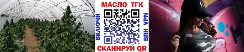 ТГК THC oil  как найти   Буйнакск 