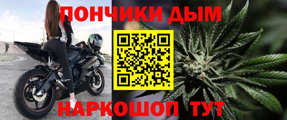 Каннабис Bruce Banner Буйнакск